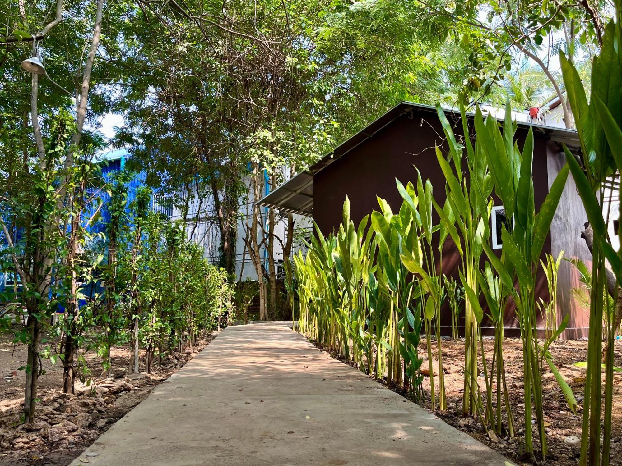 Banyan Tree Hostel カンポット エクステリア 写真